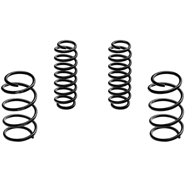 Lowering Springs